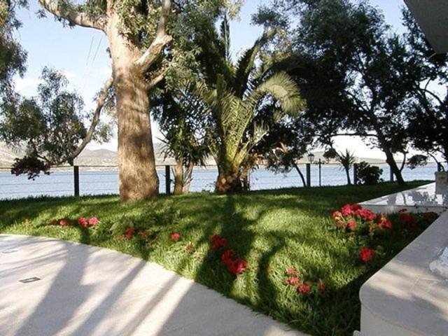 Tzeni Villa Лигия Екстериор снимка